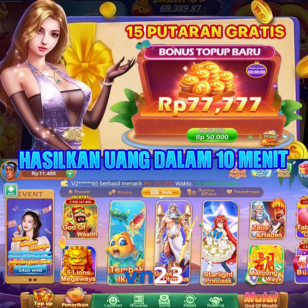 vn23