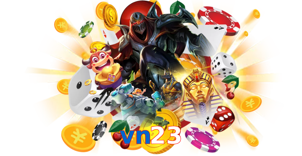 vn23