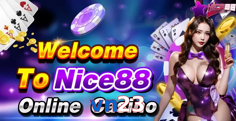 vn23