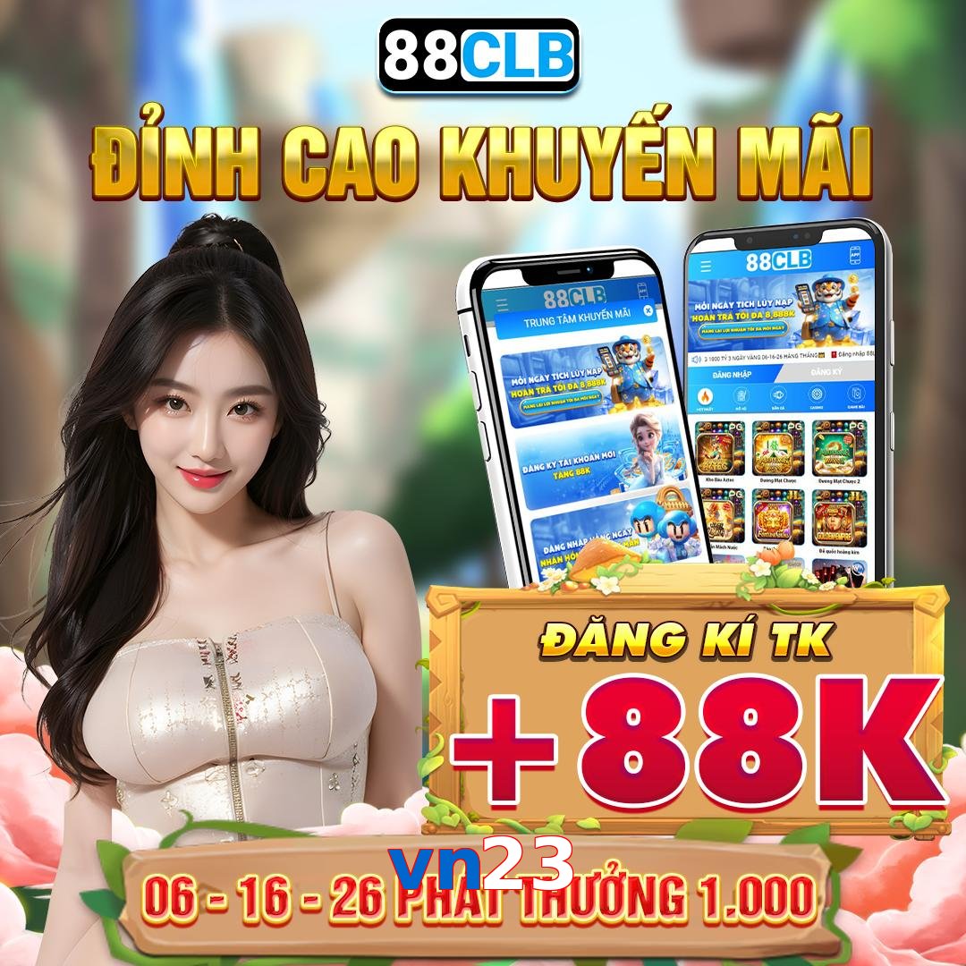 vn23