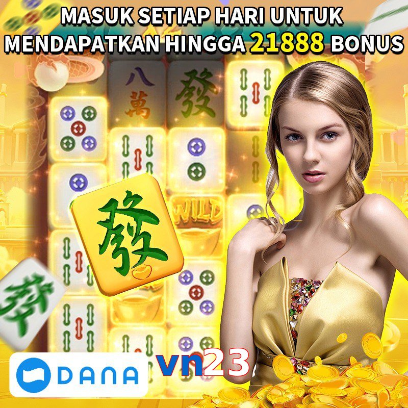 vn23