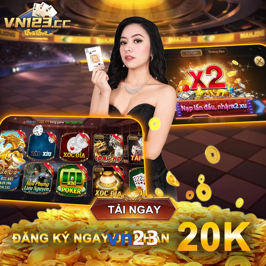 vn23