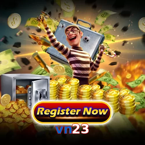 vn23