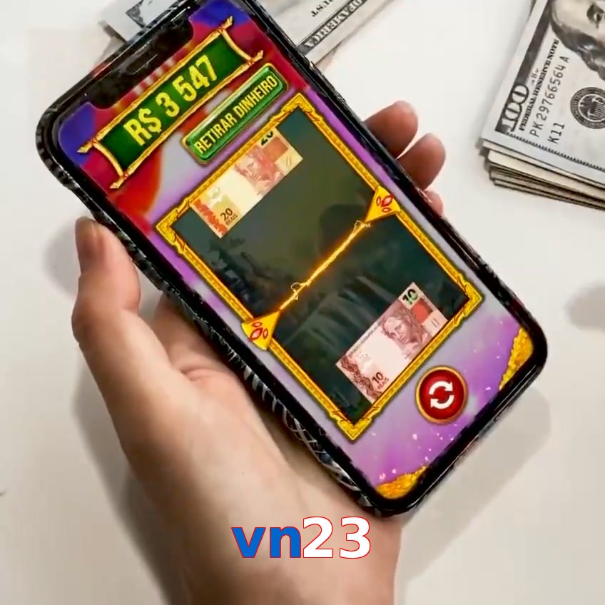 vn23