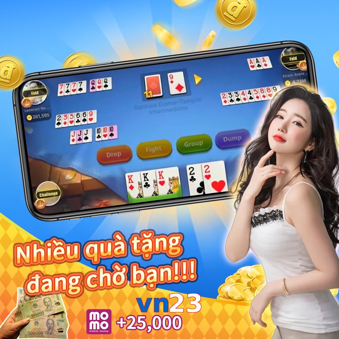 vn23