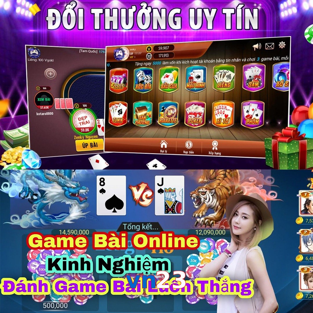 vn23