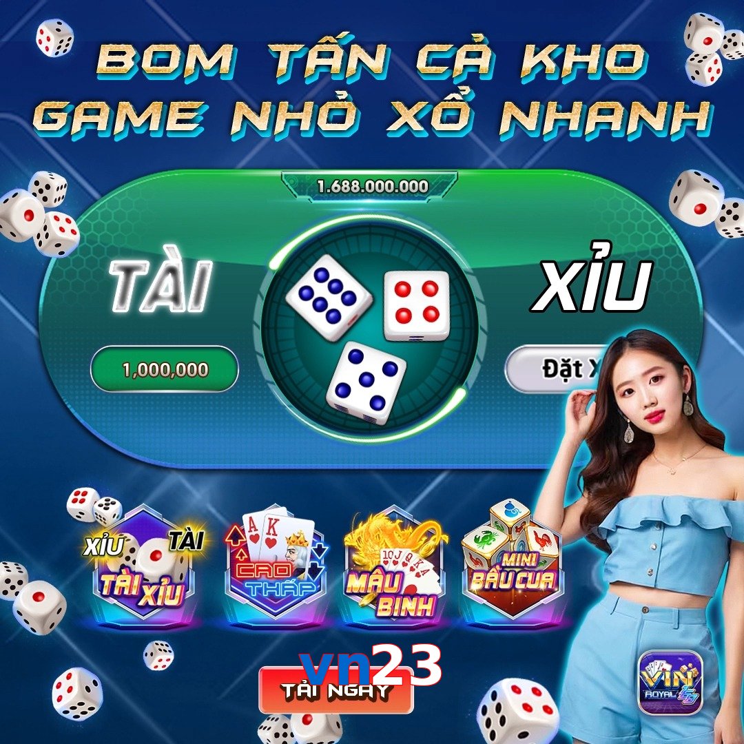vn23