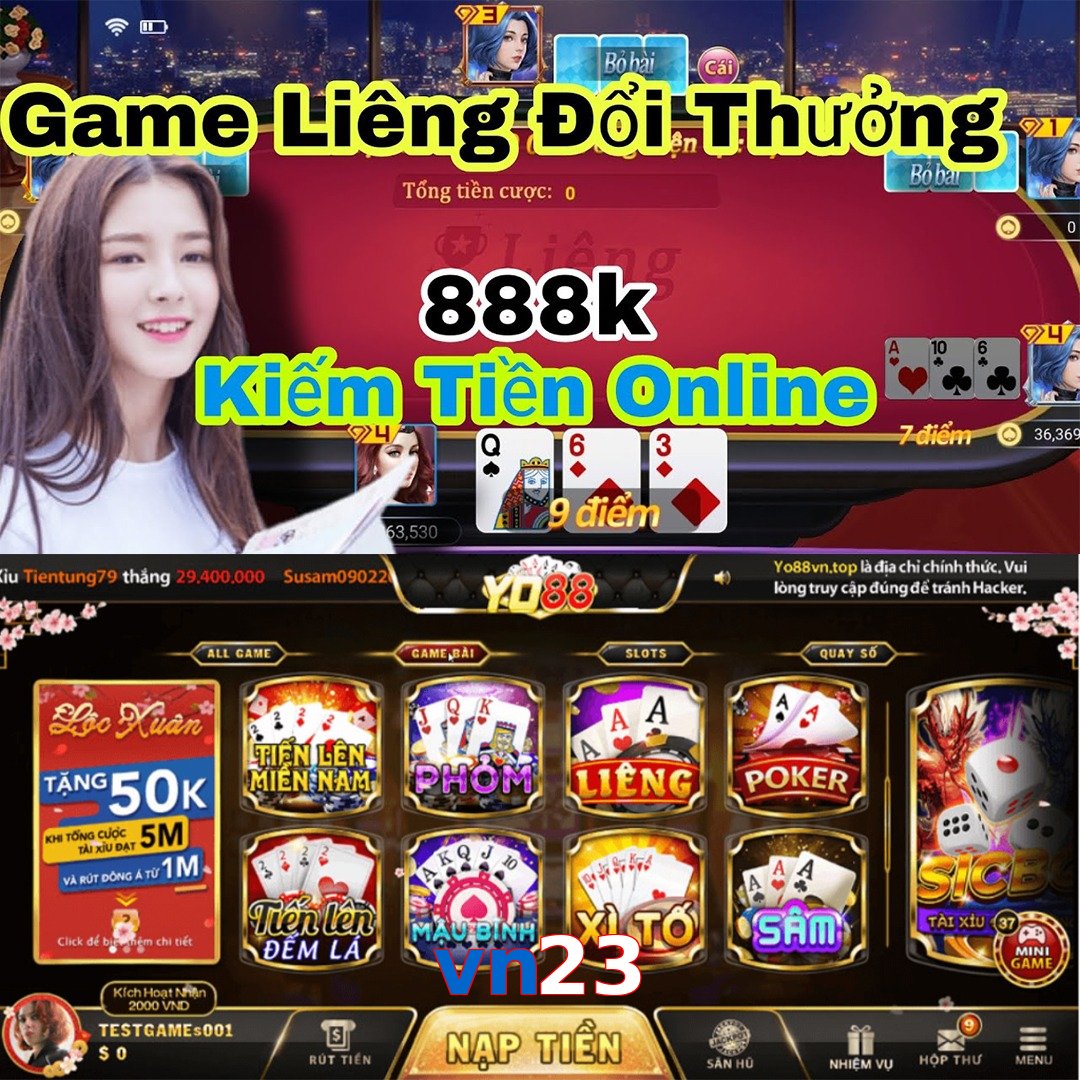 vn23