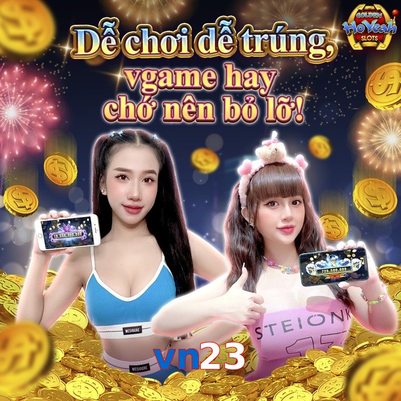 vn23