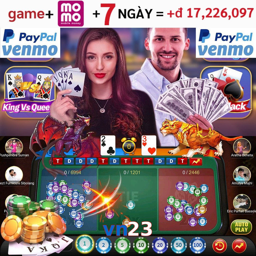 vn23