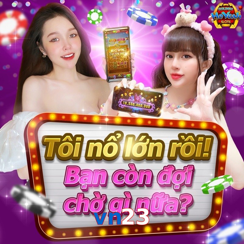 vn23