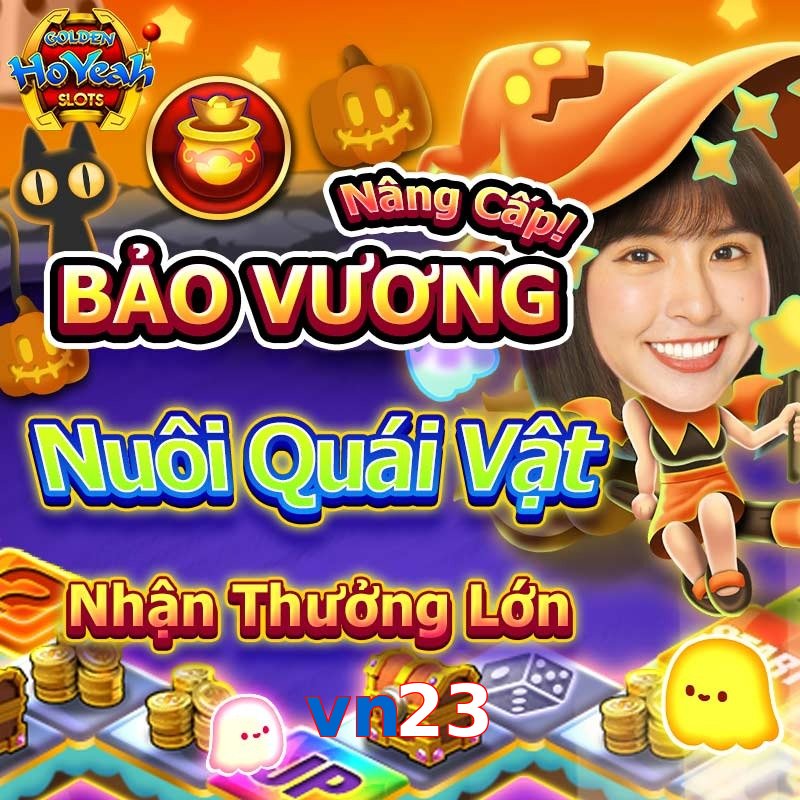 vn23