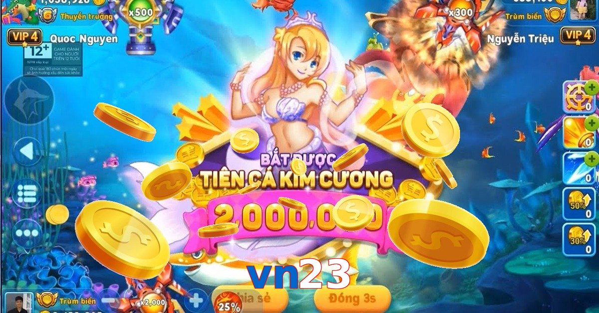 vn23