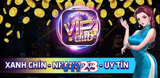 vn23