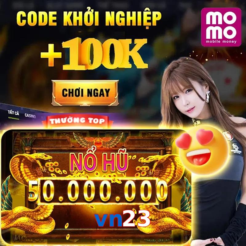 vn23