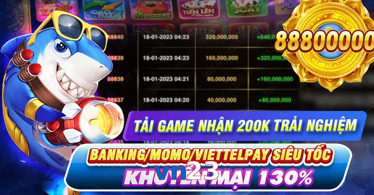 vn23
