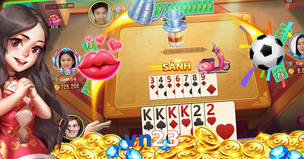 vn23