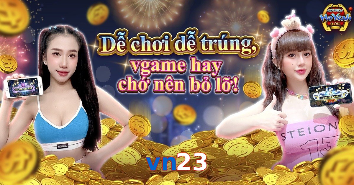 vn23