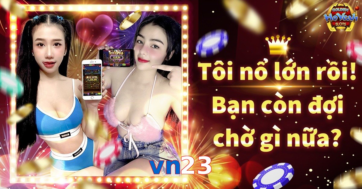 vn23
