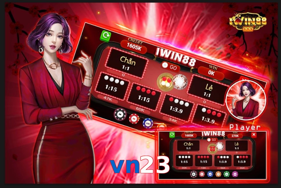 vn23