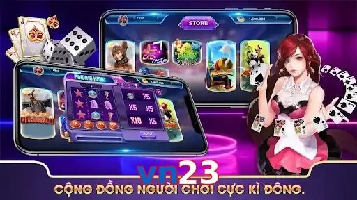 vn23