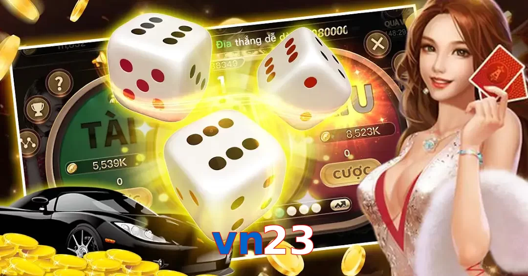 vn23