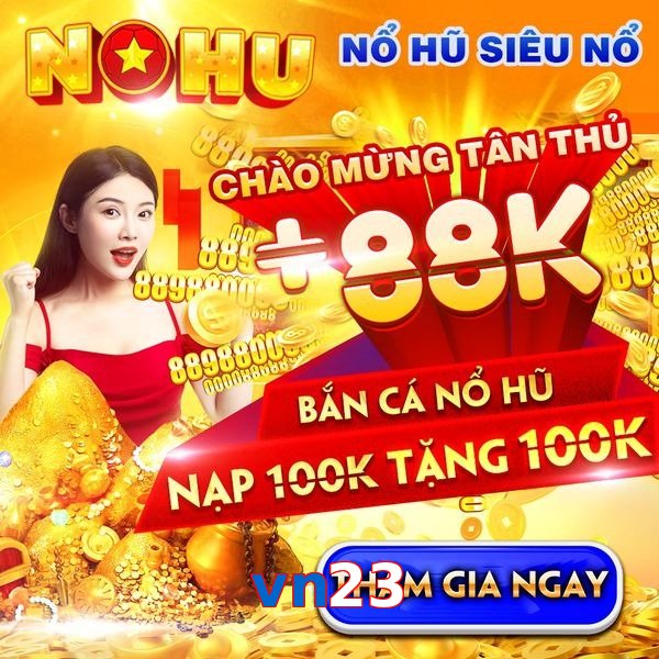 vn23