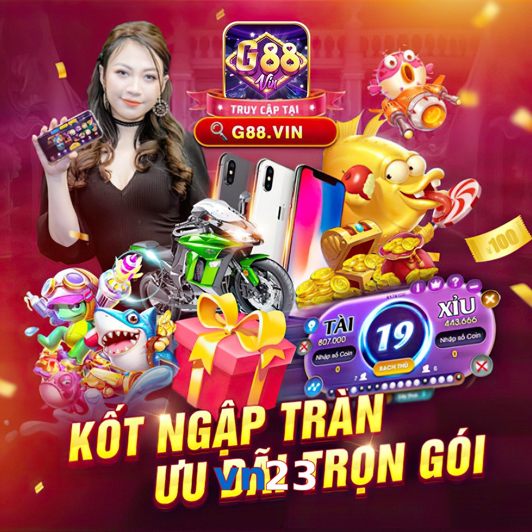 vn23