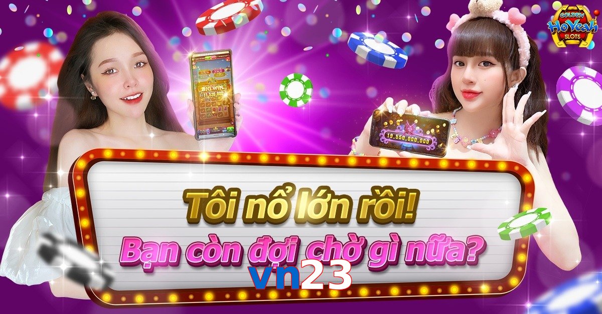 vn23