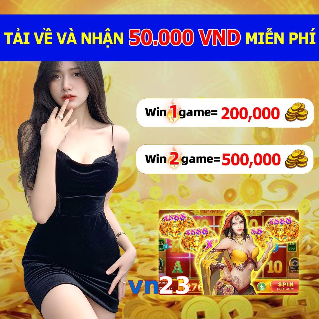 vn23