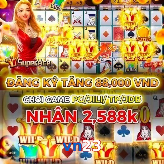 vn23