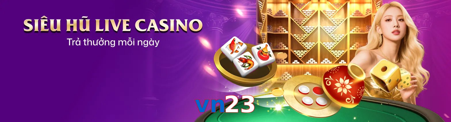 vn23