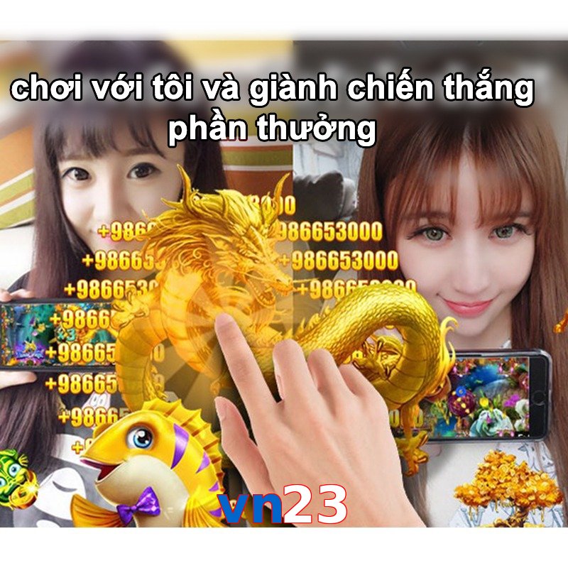 vn23