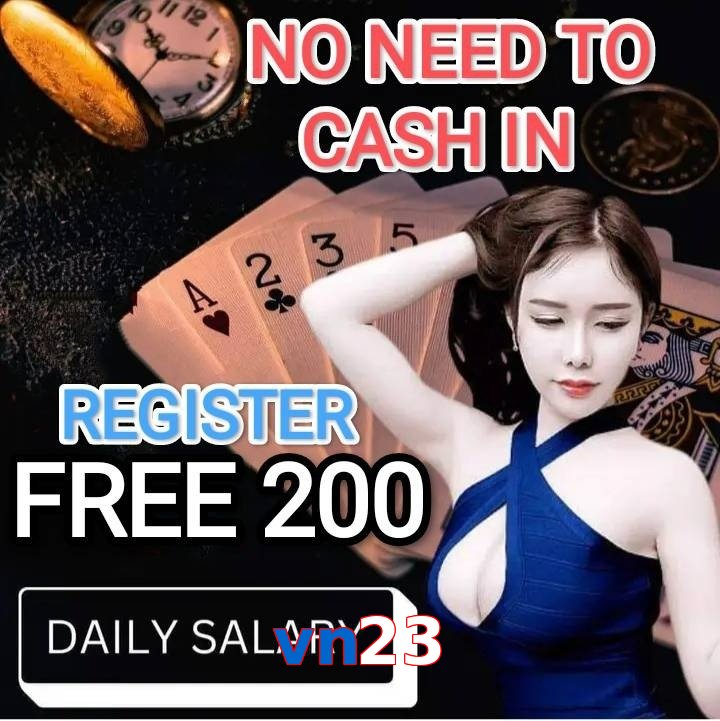 vn23