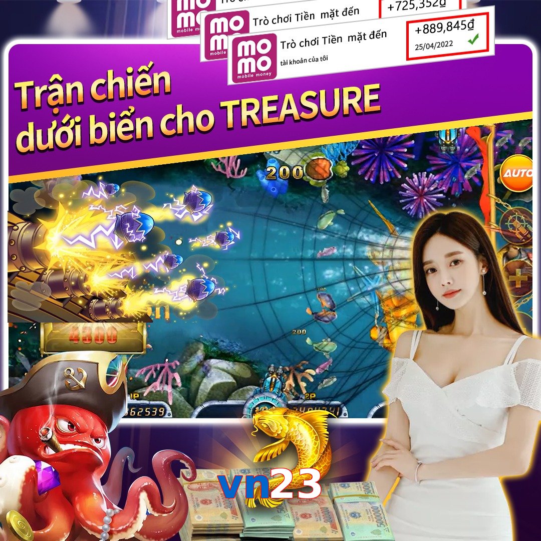 vn23